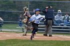 Softball vs Springfield  Wheaton College Softball vs Springfield College. - Photo by: KEITH NORDSTROM : Wheaton, Baseball
